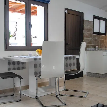 Colourful @lizard *